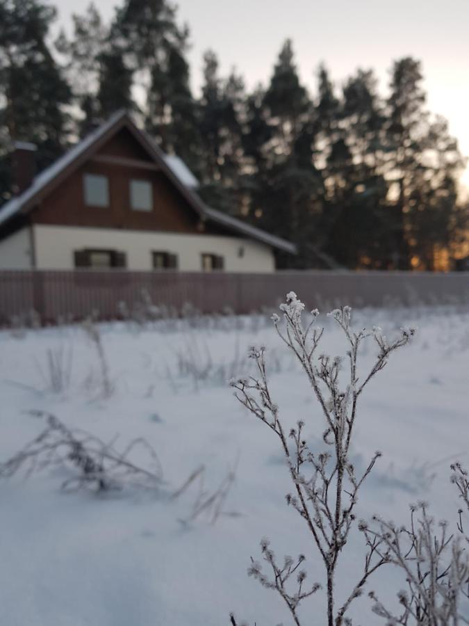Łap Las Pelnik Exterior foto