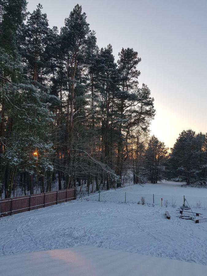 Łap Las Pelnik Exterior foto