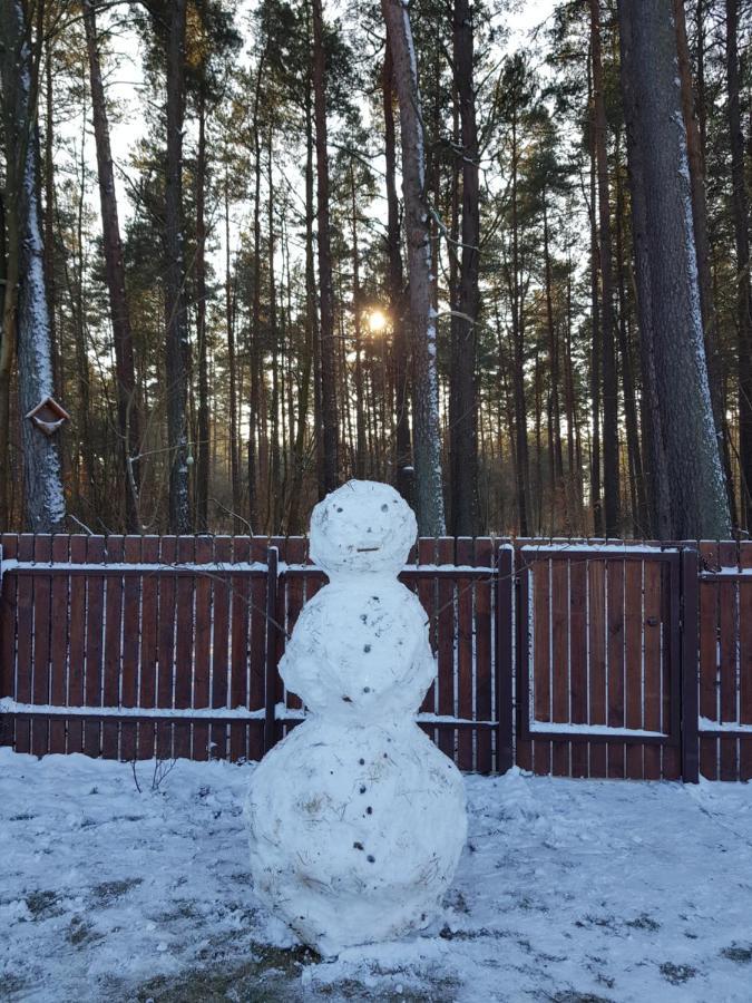 Łap Las Pelnik Exterior foto